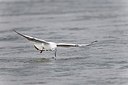 BUITEN BEELD Foto: 171705