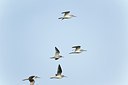 BUITEN BEELD Foto: 171716