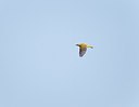 BUITEN BEELD Foto: 171724