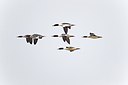BUITEN BEELD Foto: 171786
