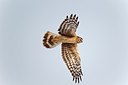 BUITEN BEELD Foto: 171840