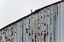 BUITEN BEELD Foto: 171843