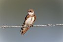 BUITEN BEELD Foto: 171871