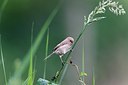 BUITEN BEELD Foto: 171888