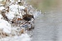 BUITEN BEELD Foto: 171907