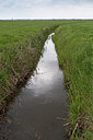 BUITEN BEELD Foto: 172066