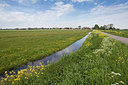 BUITEN BEELD Foto: 172084