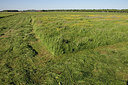 BUITEN BEELD Foto: 172097