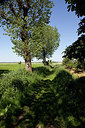 BUITEN BEELD Foto: 172104