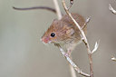 BUITEN BEELD Foto: 172243