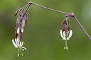 BUITEN BEELD Foto: 172345