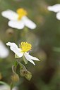 BUITEN BEELD Foto: 172380