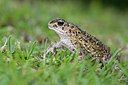 BUITEN BEELD Foto: 172429