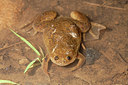 BUITEN BEELD Foto: 172443