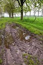 BUITEN BEELD Foto: 172492