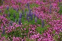 BUITEN BEELD Foto: 172560