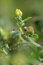 BUITEN BEELD Foto: 172655
