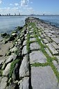 BUITEN BEELD Foto: 172679