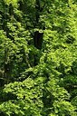 BUITEN BEELD Foto: 172683