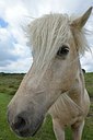BUITEN BEELD Foto: 172902