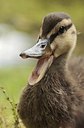 BUITEN BEELD Foto: 173148