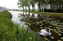 BUITEN BEELD Foto: 173221