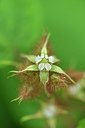 BUITEN BEELD Foto: 173376