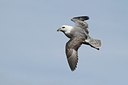 BUITEN BEELD Foto: 173441