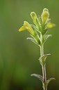 BUITEN BEELD Foto: 173457