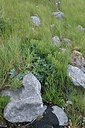 BUITEN BEELD Foto: 173482