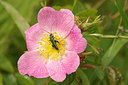 BUITEN BEELD Foto: 173490