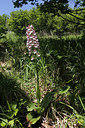 BUITEN BEELD Foto: 173579