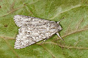 BUITEN BEELD Foto: 173607