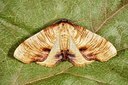 BUITEN BEELD Foto: 173608