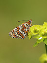 BUITEN BEELD Foto: 173637