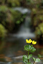 BUITEN BEELD Foto: 173753