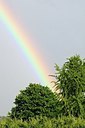 BUITEN BEELD Foto: 173851