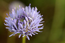 BUITEN BEELD Foto: 173860