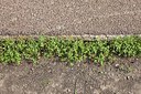 BUITEN BEELD Foto: 173908
