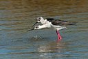 BUITEN BEELD Foto: 173955