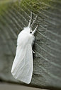 BUITEN BEELD Foto: 173996