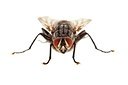 BUITEN BEELD Foto: 174021