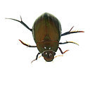 BUITEN BEELD Foto: 174037