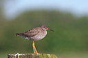 BUITEN BEELD Foto: 174179