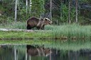 BUITEN BEELD Foto: 174259