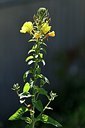 BUITEN BEELD Foto: 174326
