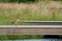 BUITEN BEELD Foto: 174342