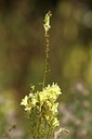 BUITEN BEELD Foto: 174357