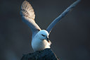 BUITEN BEELD Foto: 174444