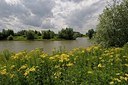 BUITEN BEELD Foto: 174576